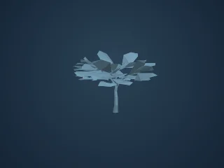 Acacia geometry preview